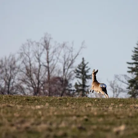 Drewniane Z Prywatnym Jacuzzi I Widokiem Na Gory - Klimatyczny Kompleks W Gorach Izerskich #widogruszka * Grudza