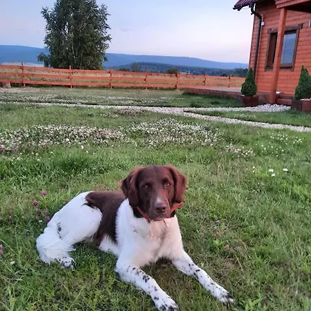 Drewniane Z Prywatna Balia Z Jacuzzi I Widokiem Na Gory - Klimatyczny Kompleks W Gorach Izerskich #widogruszka