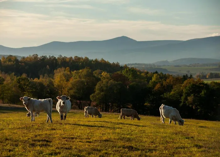 Drewniane Z Prywatnym Jacuzzi I Widokiem Na Gory - Klimatyczny Kompleks W Gorach Izerskich #widogruszka *