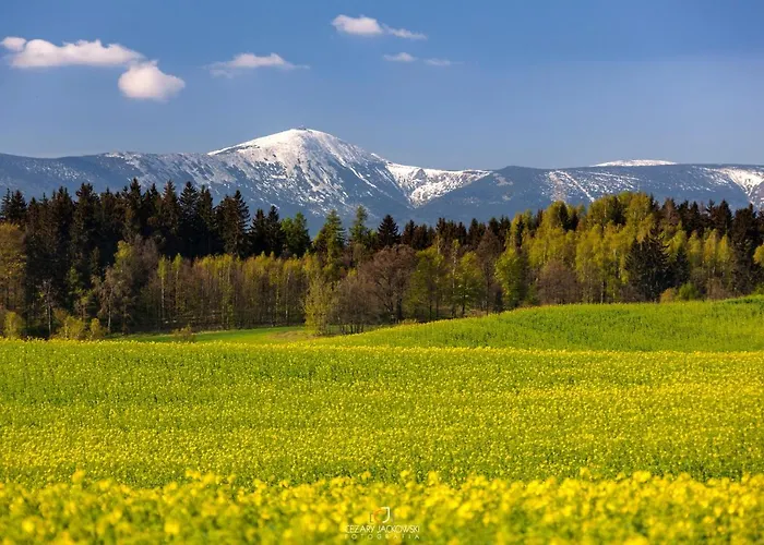 Drewniane Z Prywatnym Jacuzzi I Widokiem Na Gory - Klimatyczny Kompleks W Gorach Izerskich #widogruszka Chalet *
